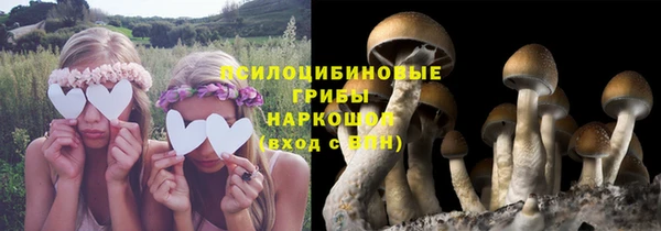 индика Алексеевка