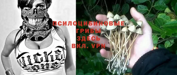 индика Алексеевка